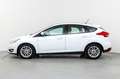 Ford Focus 1.0 Ecoboost Trend+ 125 Blanco - thumbnail 8