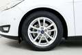 Ford Focus 1.0 Ecoboost Trend+ 125 Blanco - thumbnail 11