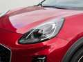 Ford Puma Titanium+Abstandswarner+Lenkradheizung+Sitzheizung Rosso - thumbnail 5