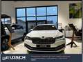 Skoda Superb L&K Alb - thumbnail 7