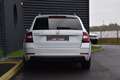 Skoda Octavia III (2) 1.6 TDI SCR 116 BUSINESS Weiß - thumbnail 15
