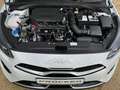 Kia ProCeed / pro_cee'd 1.5T GT-Line| TECHNO|18 ZOLL Blanco - thumbnail 17