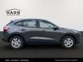 Ford Kuga EcoBlue Hybrid Cool & Connect Aut Grau - thumbnail 9