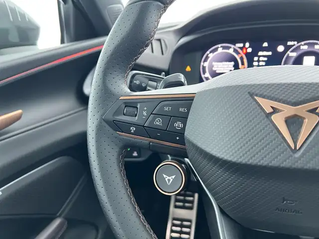 Cupra Terramar view 16