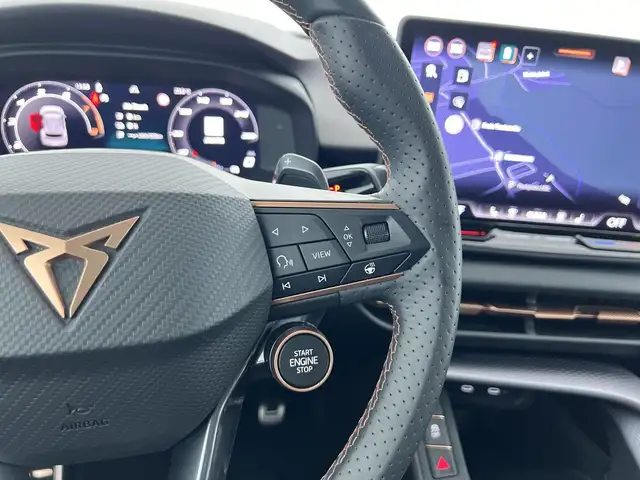 Cupra Terramar view 9