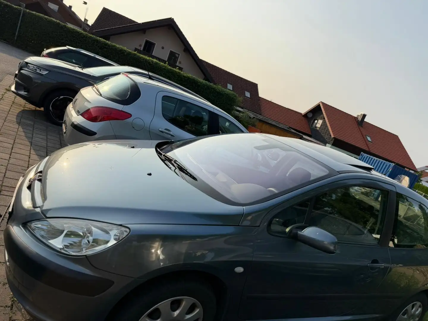 Peugeot 307 110 Grand Filou - 1