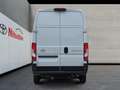 Toyota Proace Max L3H3 Heavy  2.2 BlueHDi 140 Work *Gewerbe* Alb - thumbnail 4