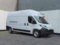 Toyota Proace Max L3H3 Heavy  2.2 BlueHDi 140 Work *Gewerbe* Alb - thumbnail 7