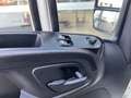 Iveco Daily 35C16D 2.3 Koelvries wagen -20° 3690 kg laadvermog Blanc - thumbnail 9