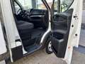 Iveco Daily 35C16D 2.3 Koelvries wagen -20° 3690 kg laadvermog Blanc - thumbnail 8