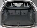 Audi Q5 40 TDI UPE 80.005 S line Assist AHK OLED Pano Silber - thumbnail 10