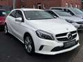 Mercedes-Benz A 180 A 180 BlueEfficiency (176.042) Blanco - thumbnail 1