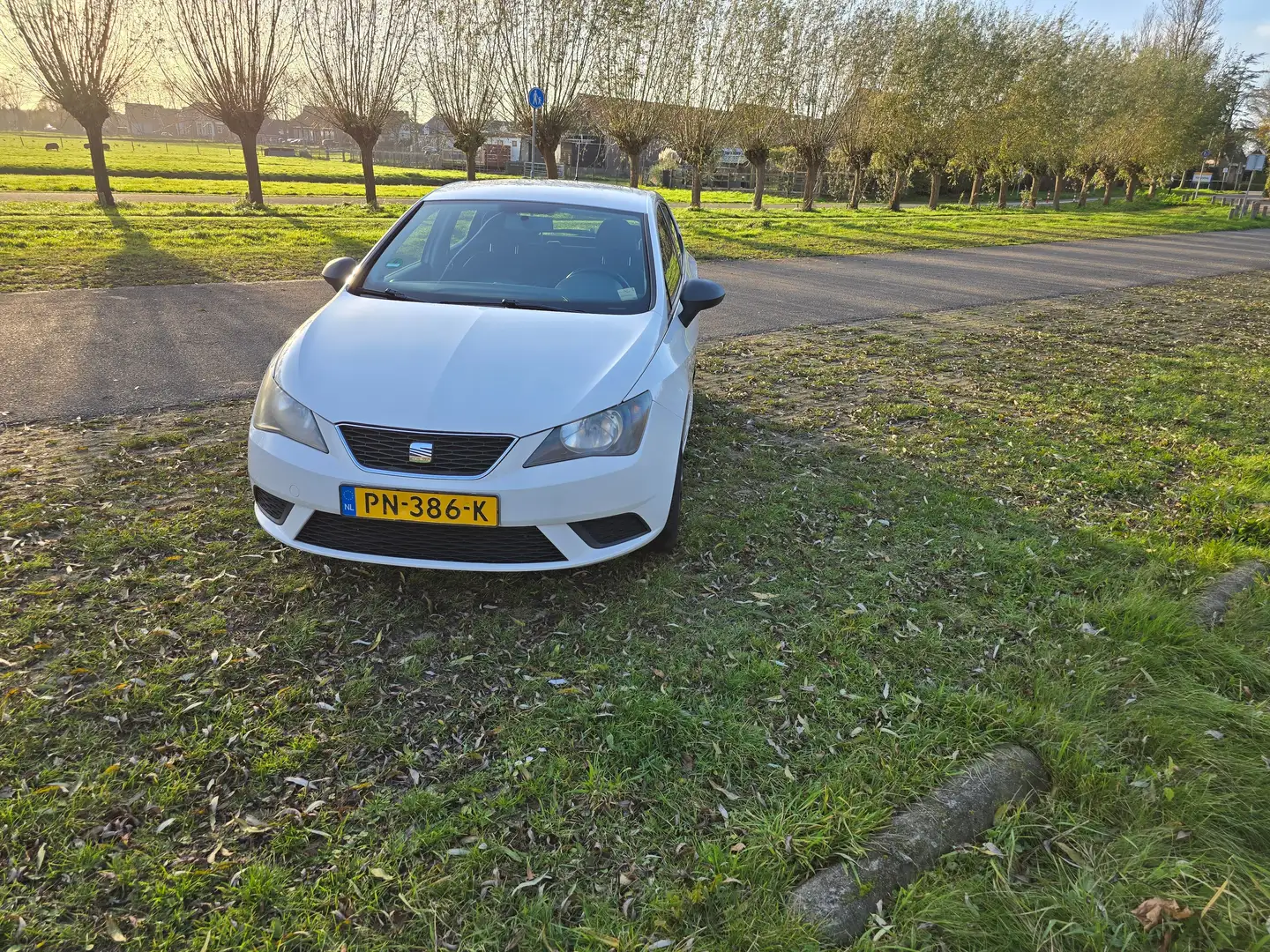 SEAT Ibiza Ibiza 1.4 Style Wit - 2