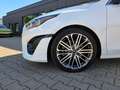 Kia Ceed SW / cee'd SW cee'd SW GT Line*Leder*Pano*Kamera*Led*VOLL* Blanco - thumbnail 12