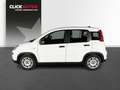 Fiat Panda 1.0 70CV Hybrid Blanc - thumbnail 4