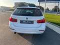 BMW 318 Serie 3 F31 2012 Touring 318d Touring Modern Bianco - thumbnail 6