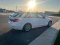 BMW 318 Serie 3 F31 2012 Touring 318d Touring Modern Bianco - thumbnail 5