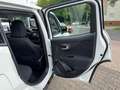 Jeep Renegade Longitude 1.0 FWD Bianco - thumbnail 21