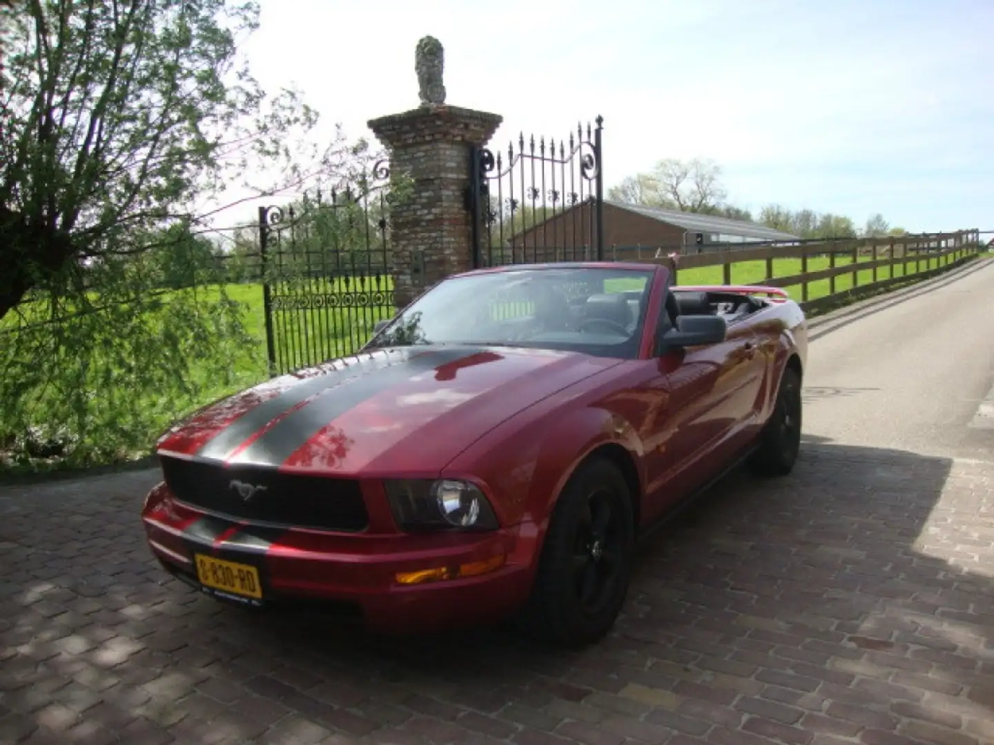 Ford Mustang 4.0 V6 206PK CABRIOLET - AIRCO - LEDER - AUTOMAAT Czerwony - 1