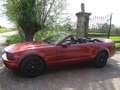 Ford Mustang 4.0 V6 206PK CABRIOLET - AIRCO - LEDER - AUTOMAAT Czerwony - thumbnail 5