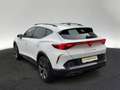 CUPRA Formentor 1.5 eTSI DSG LED Kamera Sitzhzg Weiß - thumbnail 3