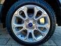 Ford EcoSport Titanium Automatik *Navi/Kamera/Pano* Grau - thumbnail 28