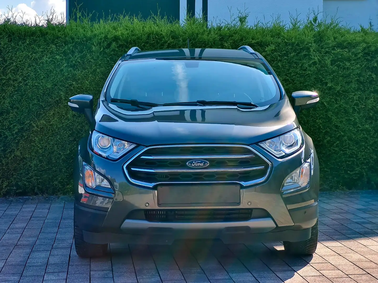 Ford EcoSport Titanium Automatik *Navi/Kamera/Pano* Gris - 2