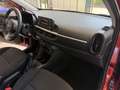 Kia Picanto Picanto III 2021 1.0 dpi  Gpl Rosso - thumbnail 11