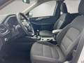 Ford Kuga Titanium 1,5 Sitzheizung/Navi/Klimaautomatik/PDC v Weiß - thumbnail 8