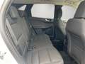 Ford Kuga Titanium 1,5 Sitzheizung/Navi/Klimaautomatik/PDC v Wit - thumbnail 13