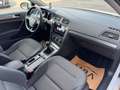 Volkswagen Golf VII 1.6 TDI BMT Rabbit | ACC | SHZ | mtl. ab 184€ Weiß - thumbnail 16