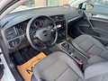 Volkswagen Golf VII 1.6 TDI BMT Rabbit | ACC | SHZ | mtl. ab 184€ Weiß - thumbnail 12