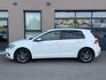 Volkswagen Golf VII 1.6 TDI BMT Rabbit | ACC | SHZ | mtl. ab 184€ Weiß - thumbnail 4