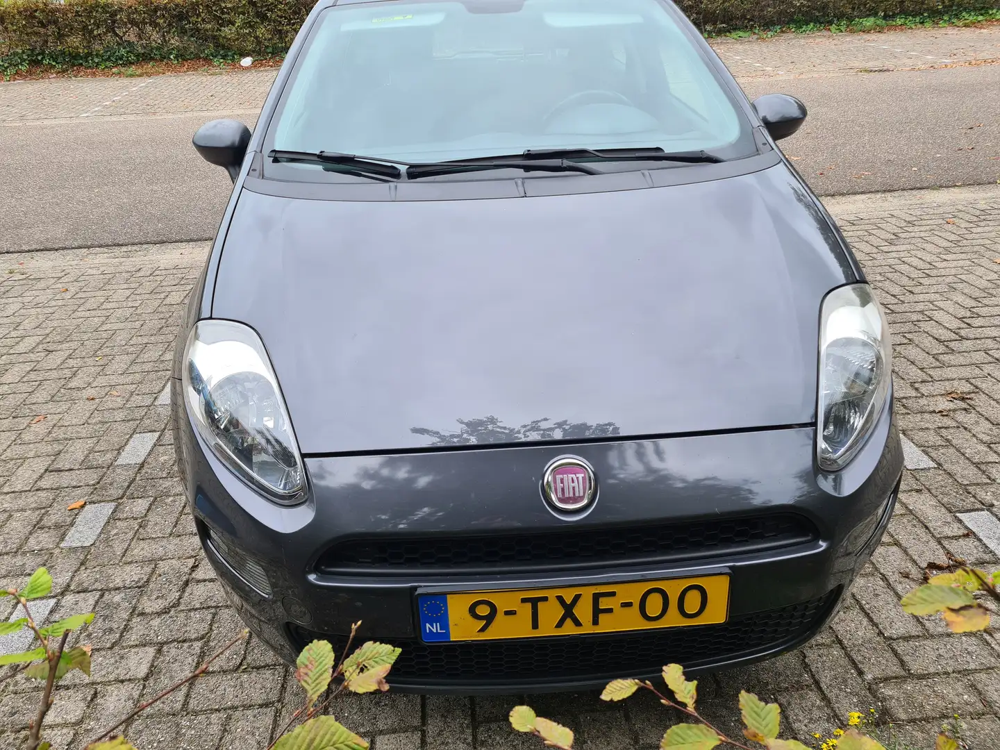 Fiat Punto Punto 0.9 TwinAir Street - 1