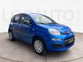 Fiat Panda 1.0 firefly hybrid s&s 70cv - PROMO Bleu - thumbnail 3
