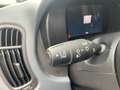 Fiat Panda 1.0 firefly hybrid s&s 70cv - PROMO Bleu - thumbnail 20