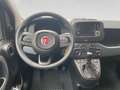 Fiat Panda 1.0 firefly hybrid s&s 70cv - PROMO Bleu - thumbnail 19