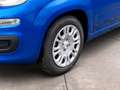 Fiat Panda 1.0 firefly hybrid s&s 70cv - PROMO Bleu - thumbnail 15