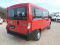 Fiat Ducato 9 posti Rosso - thumbnail 4