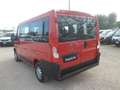 Fiat Ducato 9 posti Rosso - thumbnail 3