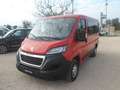 Fiat Ducato 9 posti Rosso - thumbnail 1