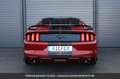 Ford Mustang Kit Shelby Tout compris hors homologation 4500e Rouge - thumbnail 5