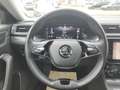Skoda Superb Combi 2.0 TDI DSG 4x4 Matrix 360° AHK Leder Kessy Gris - thumbnail 12