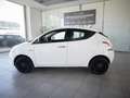 Lancia Ypsilon 1.0 FireFly 70cv S&S Hybrid Silver 36 mesi di garanzia Blanc - thumbnail 13
