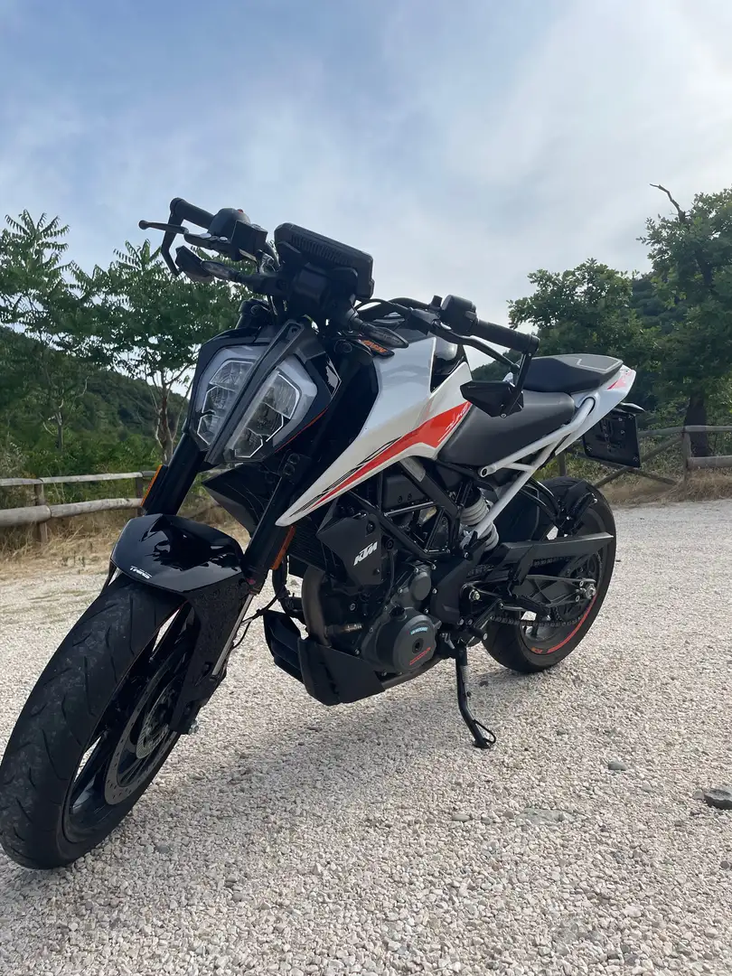 KTM 390 Duke ABS Bianco - 1