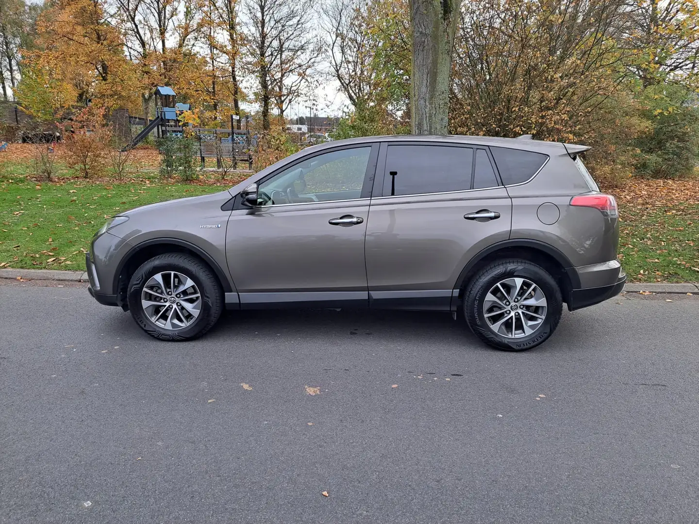 Toyota RAV 4 2.5 4x2 Hybrid Edition Brun - 2