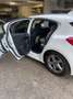 Ford Focus ST-Line Bianco - thumbnail 2