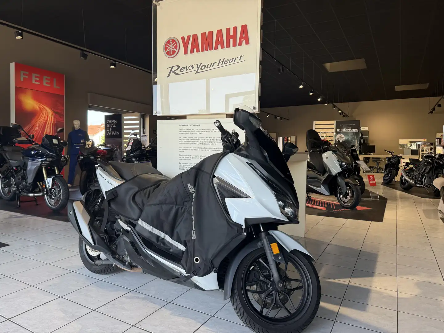 Honda Forza 350 Blanc - 2
