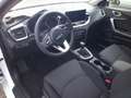 Kia Ceed SW / cee'd SW Ceed SW 1.4 T-GDI Spin,S+Lhzg,Navi,Kamera,PDC,Alu, Weiß - thumbnail 12