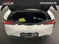 Lexus LC 500 Ultimate Edition Coupe*15 Jahre Grantie* Blanc - thumbnail 11